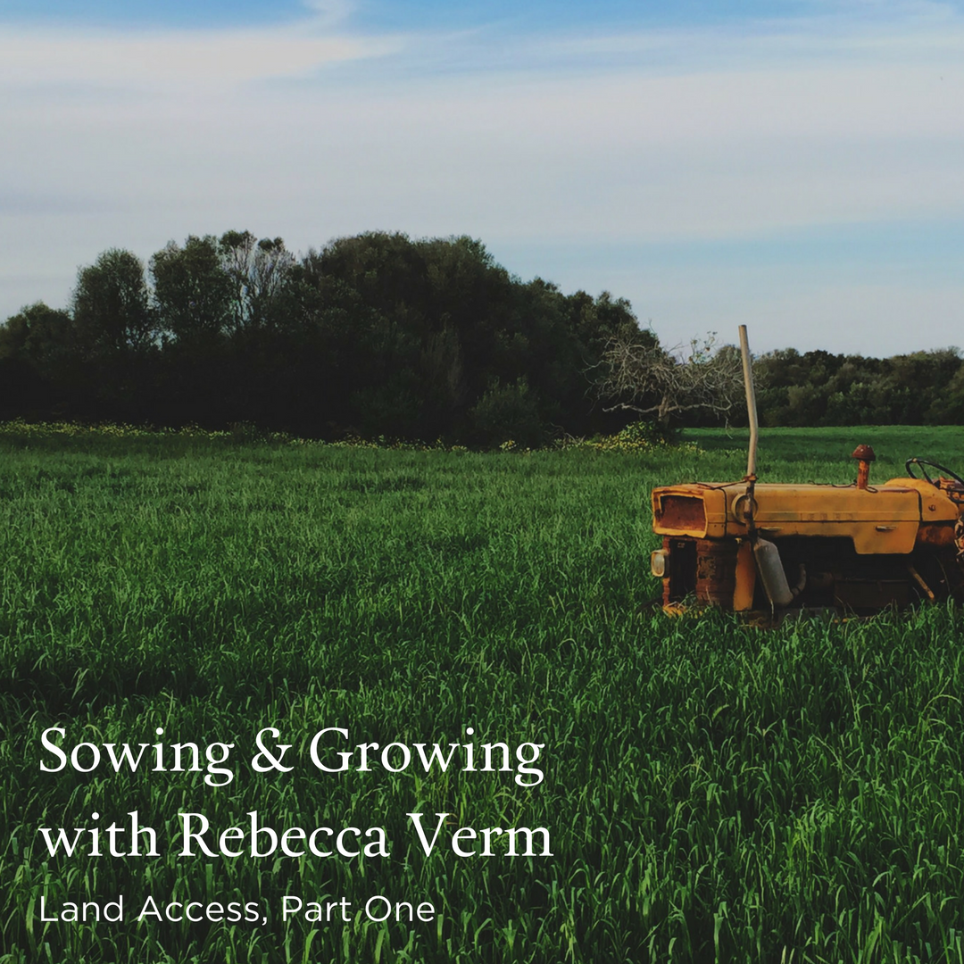Sowing & Growing With Rebecca Verm