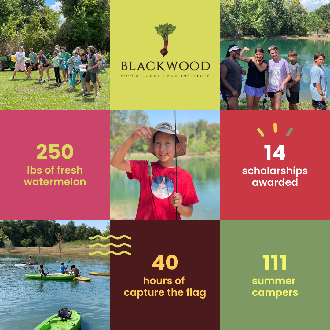 Summer Nature Camp at Blackwood 2022