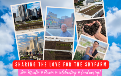 Sharing the Love: Community Fundraising & Special Volunteer Day on February 25 at the Skyfarm